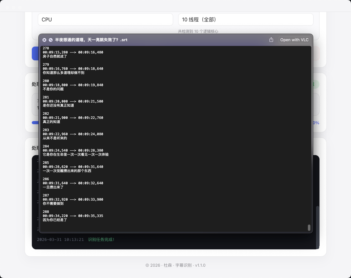 字幕识别设置面板