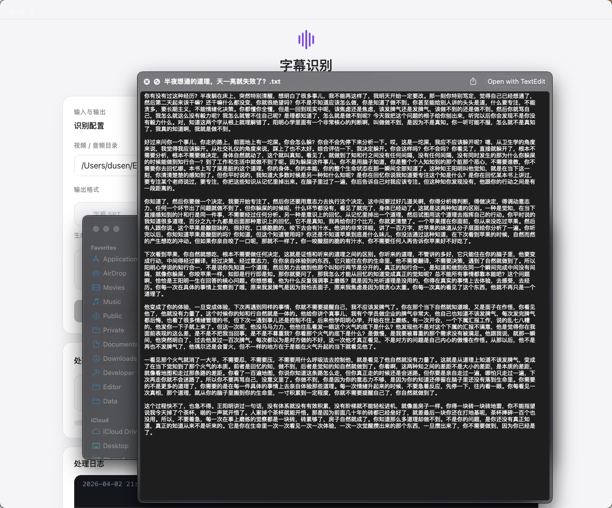 字幕识别设置面板